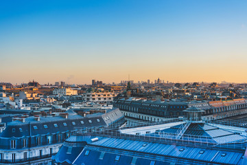 中华人民共和国野生动物保护法国家重点保护的野生动物分为什么