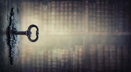 中华人民共和国野生动物保护法国家重点保护的野生动物分为什么