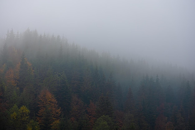 历史上与诸葛亮齐名的是谁
