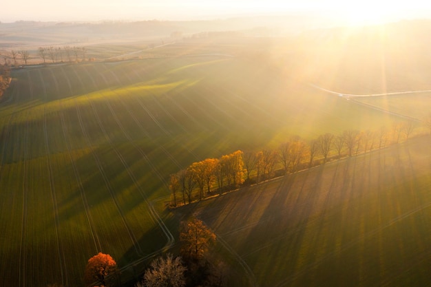 个人所得税房屋贷款应选择哪种申报方式